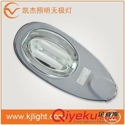 专业生产低频无极灯道路照明灯VE_SL_8212/80W 广州凯杰照明器具公司产品图片与介绍